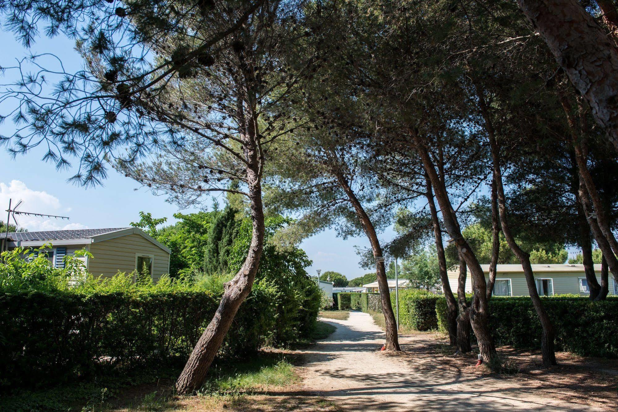 Camping Officiel Siblu Le Lac Des Reves Lattes Exterior photo